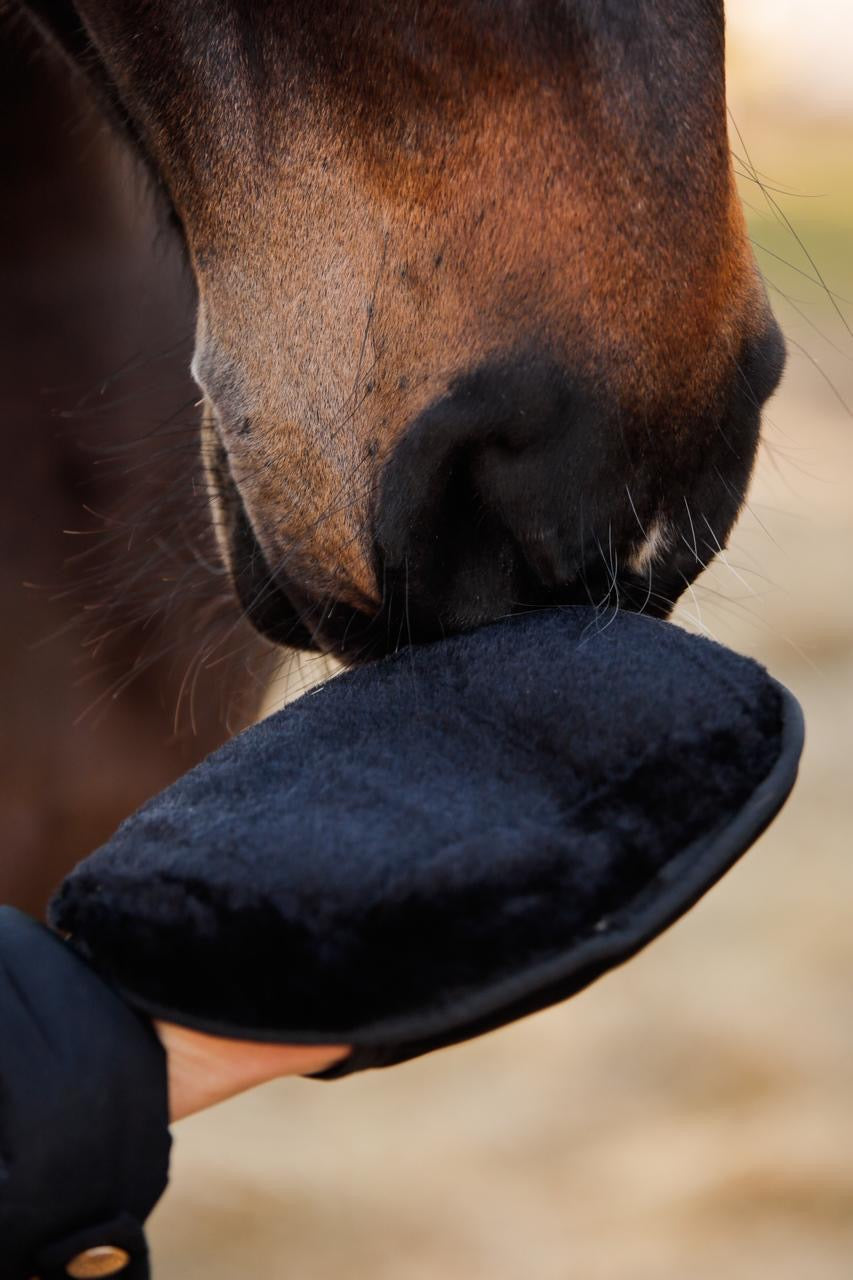 GROOMING MITT