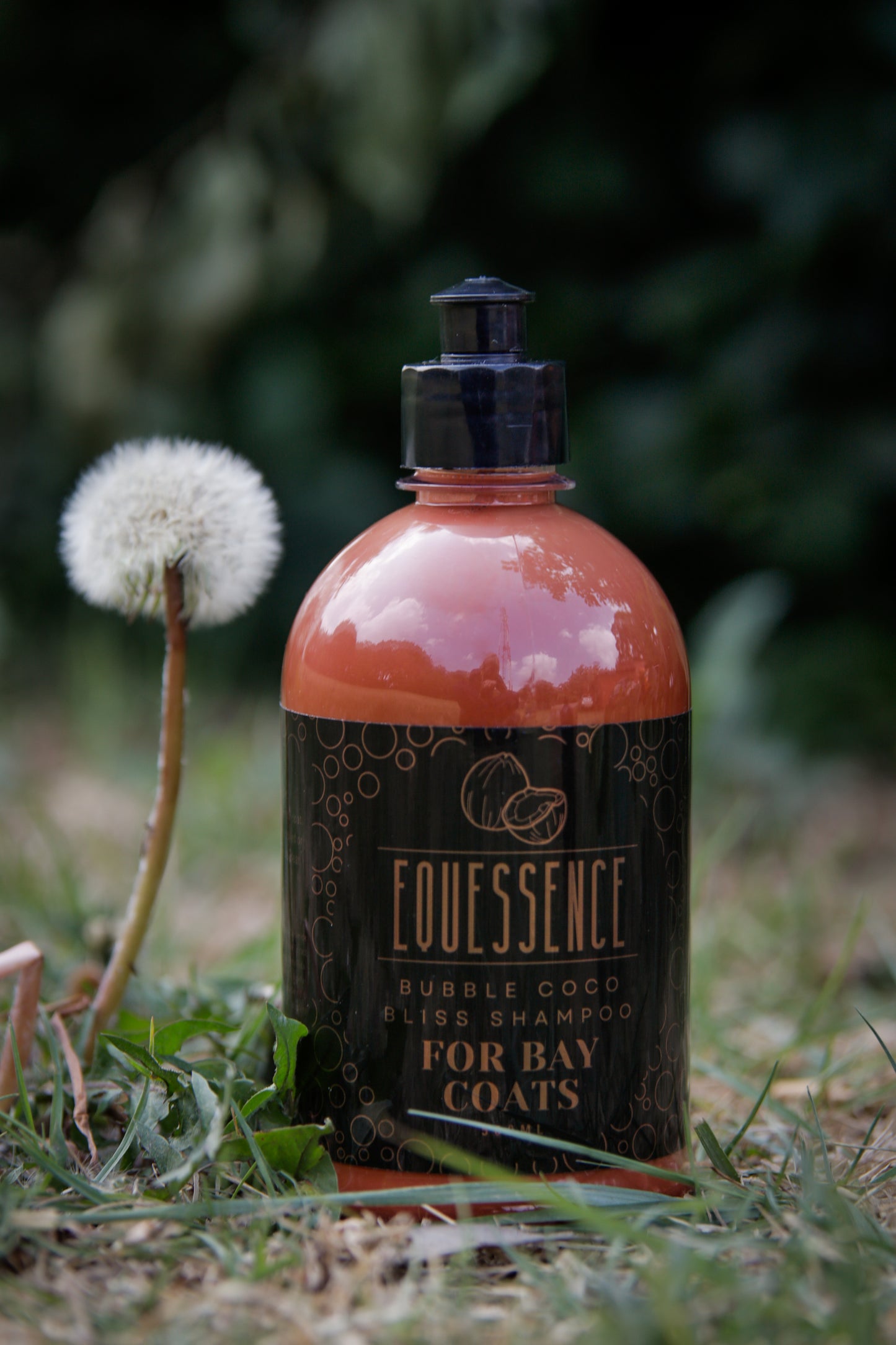 BUBBLE COCOA BLISS