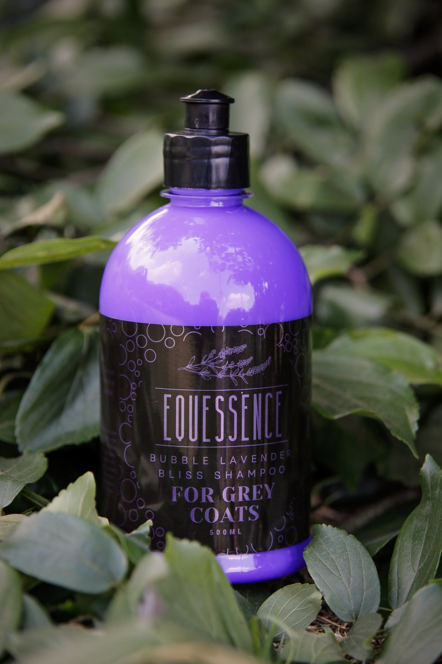 BUBBLE LAVENDER BLISS