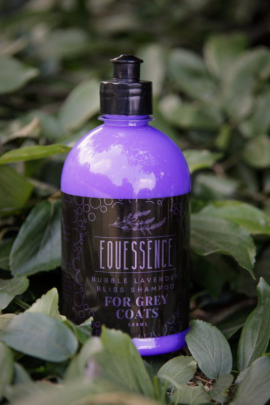 BUBBLE LAVENDER BLISS