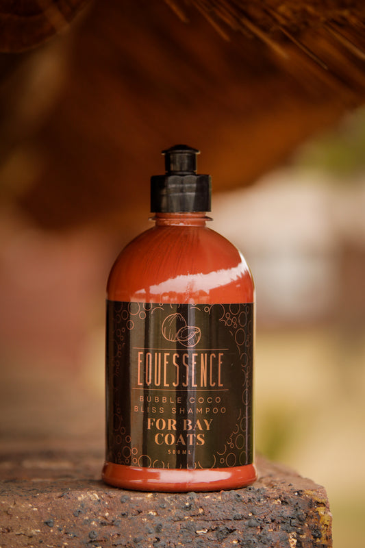 BUBBLE COCOA BLISS