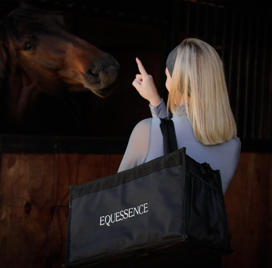 GROOMING BAG